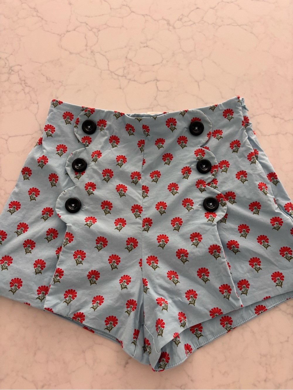 Maeve Light Blue High-Waist Red Floral Button Shorts